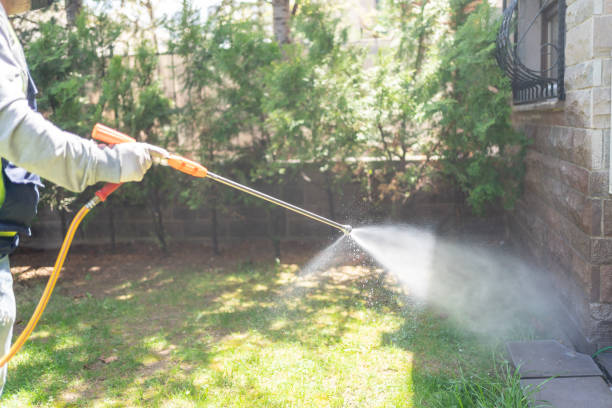 Best Fumigation Services  in Demopolis, AL